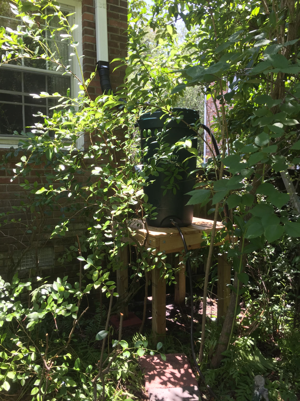 Rain barrel